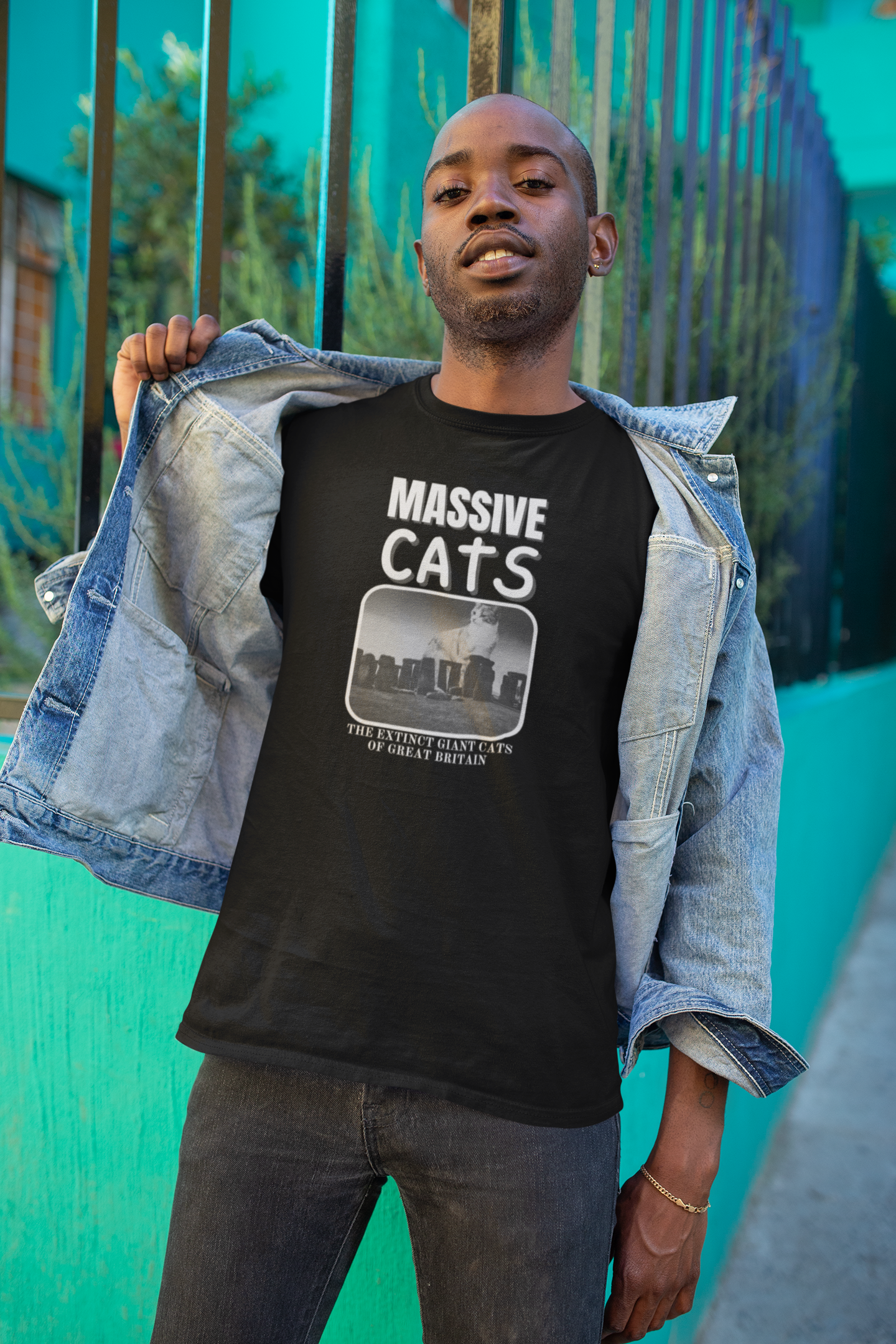 A Massive Cats T-Shirt - Huge Cat Sitting Behind Stone Henge - (Vintage Inspired, Funny Cat Unisex Jersey Tee - Perfect for Cat Fans!)