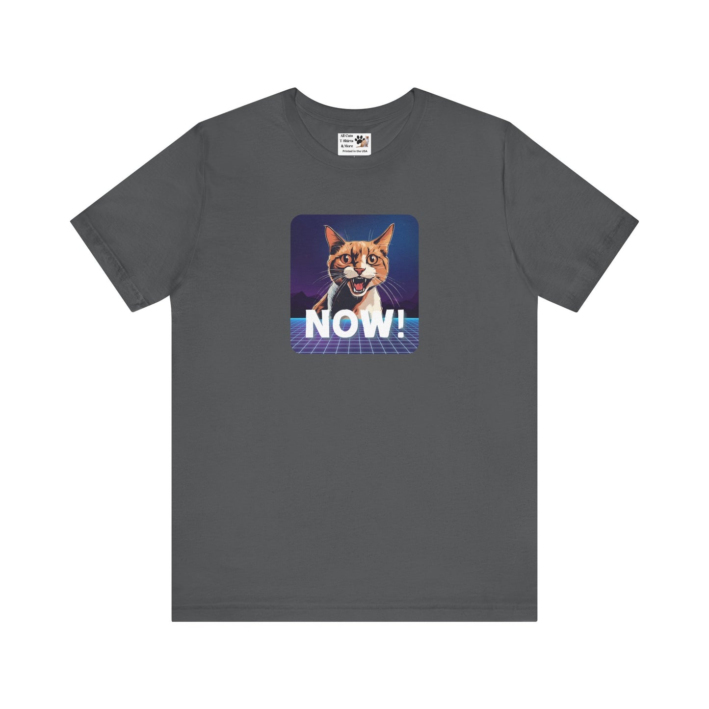 "NOW Cat" Retro Graphic T-Shirt - (Unisex Short Sleeve Tee - Fun & Quirky Design for Cat Fans)