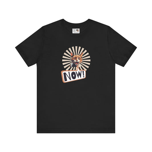 "NOW Cat" Graphic T-Shirt - (Funny Cat Unisex Jersey Tee - Perfect for Cat Owners!)
