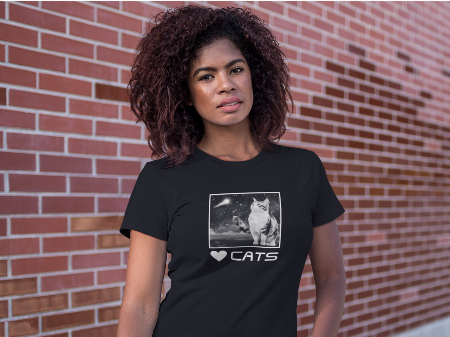 "Heart Cats" or "Love Cats" T-Shirt #2 - (Cat and Starry Sky Tee)